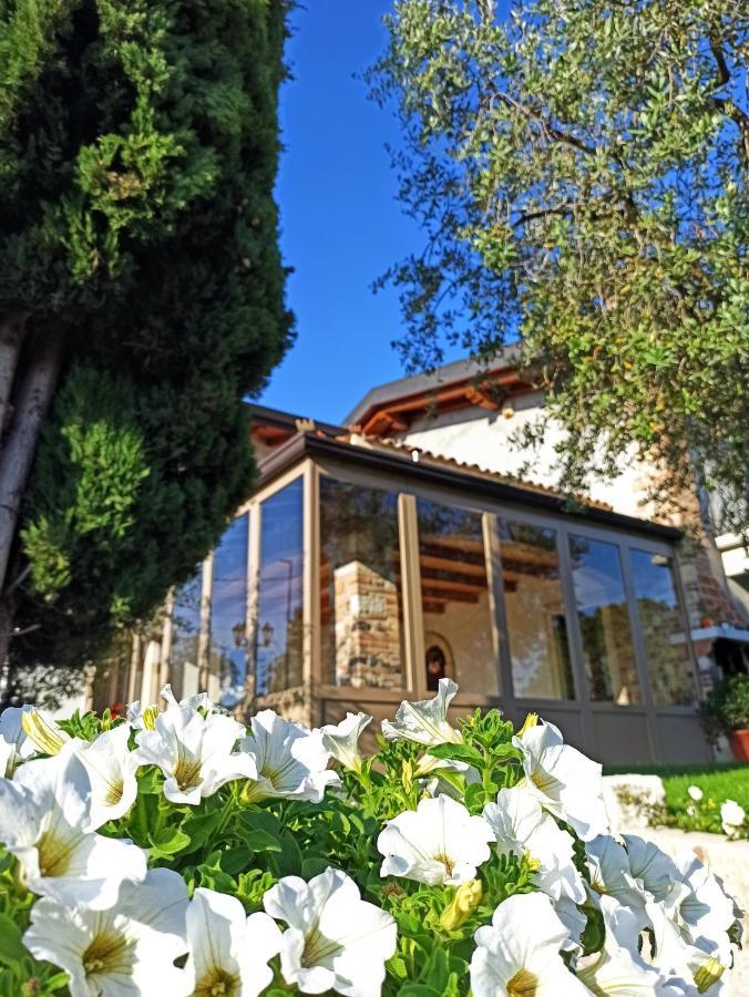 Le Zampolle B & B Colà Eksteriør billede
